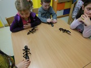 Workshop o životě mravenců